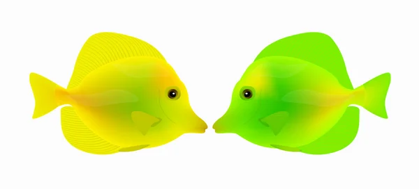 Beyaz bir arka planda sarı ve yeşil balık. Vektör çizim — Stok Vektör