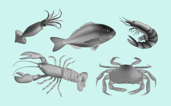 Fruits de mer gris isolés sur un fond bleu. Illustration vectorielle — Image vectorielle