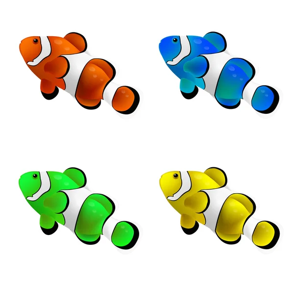 Quatro peixes-palhaço isolados no fundo branco. Ilustração vetorial — Vetor de Stock