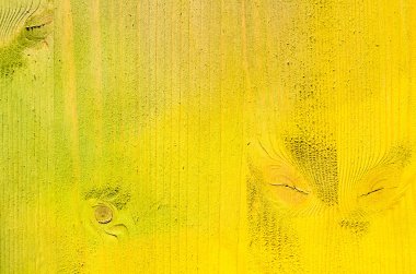 Ahşap plakalar arka plan doku boyalı çok renkli