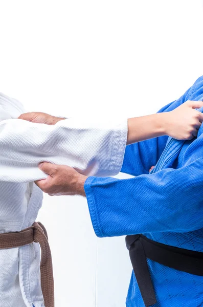 Kadın judo kahverengi kemer onun usta siyah kuşak için ayakta yay