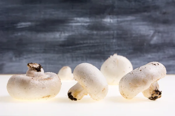 Autumnal Mushrooms with white background and gray wooden table