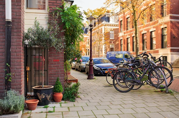 Amsterdam'da merkezi sokak Vondelstraat. Hollanda.