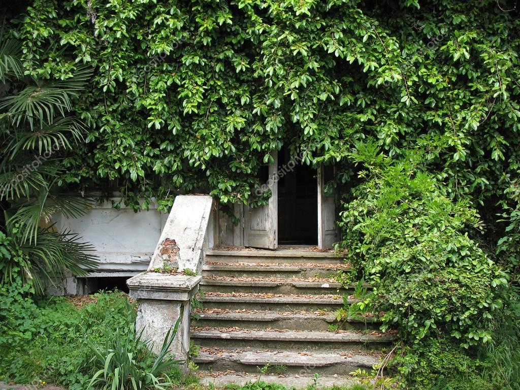 La entrada a una casa abandonada cubierta con plantas. Abjasia — Foto