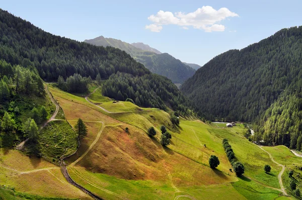Alpské údolí Oetztal v létě. Tyrolsko, Rakousko. — Stock fotografie