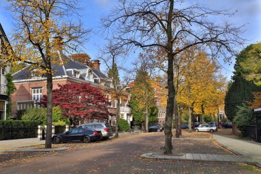 Merkezi Amsterdam Vondelpark yanında sokak Koningslaan. Hollanda.