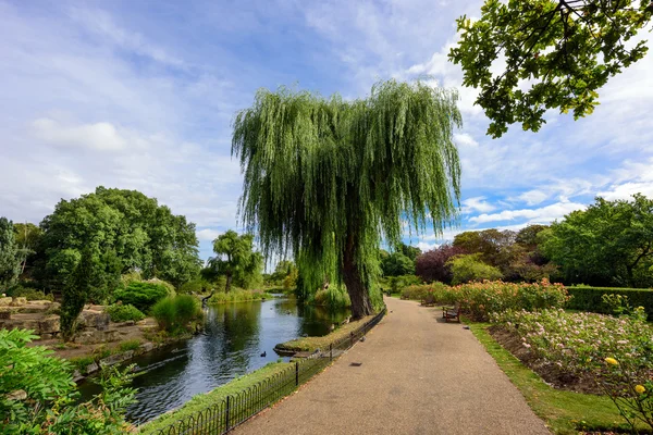 Queen Mary's Rose Gardens in Regent's Park, London, UK. — Stock Photo, Image