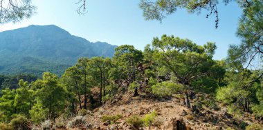 Antalya 'nın Kemer ilçesi yakınlarındaki Olimpos Beydaglari Milli Parkı' nın panoramik manzarası.