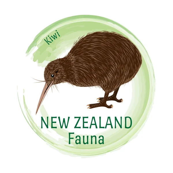 Faunan i Nya Zeeland. Kiwi — Stock vektor