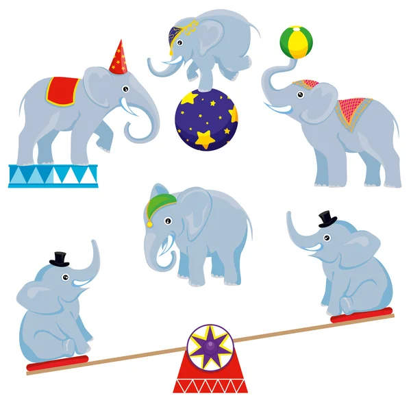Um conjunto de elefantes do circo — Vetor de Stock