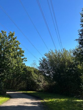 Elektrik hatları, ağaçlar ve gür yeşillikleri olan Mavi Gökyüzünün Altındaki Park Yolu