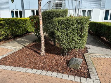 Manikürlü Çit, Ağaç ve Yol Modern Konut Binası Çevresinde