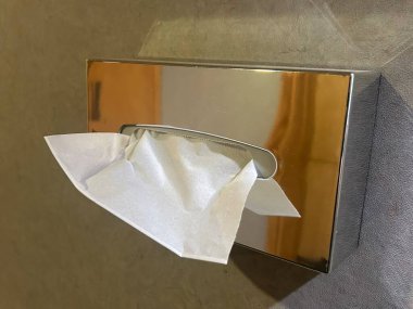 Modern Banyo Ayarlarında Beyaz Mendilli Krom Duvara Bağlı Doku Ayrıştırıcı