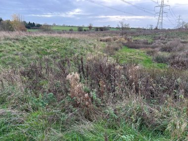 Yabani otlakları, elektrik hatları ve Bulutlu Hava Altında Açık Gökyüzü olan aşırı gelişmiş çayır alanı.