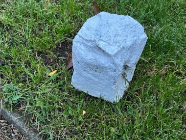 Yeşil Çimenli Taş Doğal Doku ve Sessiz Manzarayla