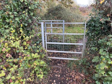 Metal Kissing Gate Between Dense Hedgerows in Autumn Garden Scene