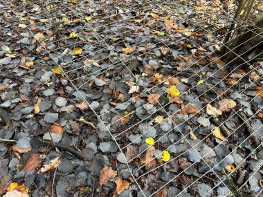 Sonbahar Yaprakları Orman zemininde Metal Ağ Çitle Yerde Yatıyor