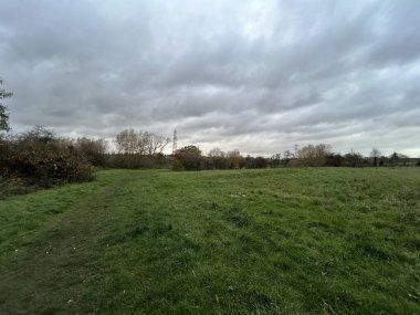Bulutlu Gökyüzü Altında Ağaçlar ve Güç Hattlarıyla Yeşil Alanlar Arasında Sessiz Kırsal Yol