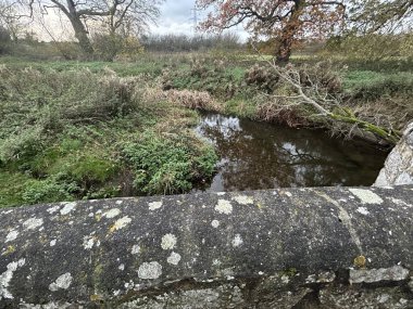 Etrafı yeşilliklerle çevrili sessiz bir nehrin üzerindeki eski taş köprü.