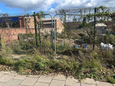 Aşırı gelişmiş Çit Bahçesi İnşaat Alanında yabani otlar, sarmaşık ve döküntüler