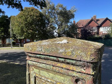Açık hava parkında Lichen 'la Yosun Yosun Sütununa Yaklaş