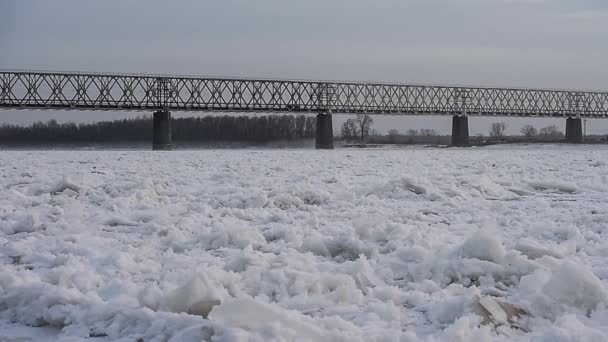 Железнодорожный мост. Поезд движется через реку. Зима . — стоковое видео