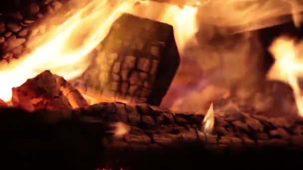 Un feu de joie. Brûler du bois. Nuit 