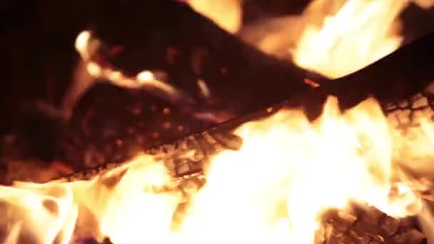 Falò. Brucia legna da ardere. Notte. — Video Stock