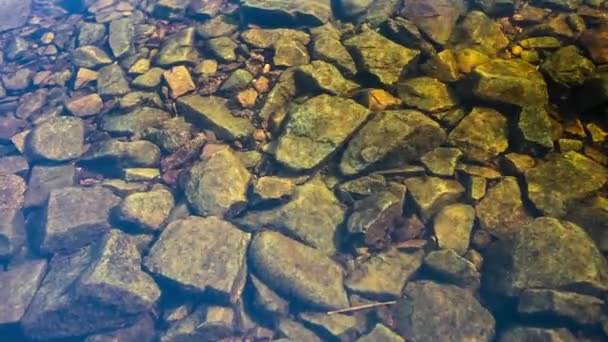 Acqua di fiume pulita. Pietre . — Video Stock