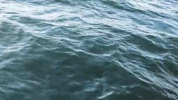 Les eaux d'un lac de montagne. Vagues . — Video