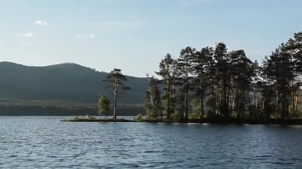 Mountain Lake. Bosque en el agua. Vista desde el barco . — Vídeos de Stock