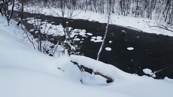 Górska rzeka w zimowym lesie. — Wideo stockowe