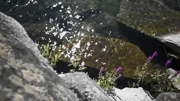 Orilla rocosa del lago. El reflejo del sol en las olas . — Vídeo de stock