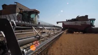 Hasat birleştirin. Buğday hasat.