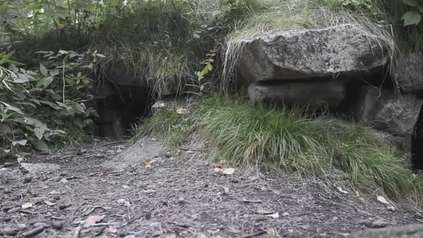 L'ingresso di una cava abbandonata . — Video Stock