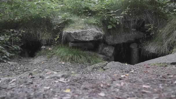 The entrance to an abandoned quarry. — Stock Video