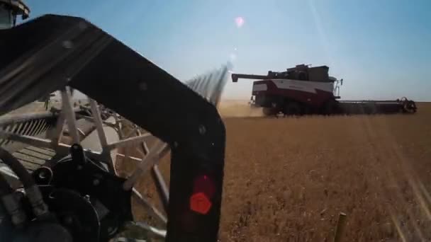 联合收割机。小麦丰收. — 图库视频影像