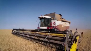 Hasat birleştirin. Buğday hasat.