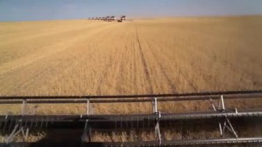 Hasat birleştirin. Buğday hasat. Kabin görüntülemek.