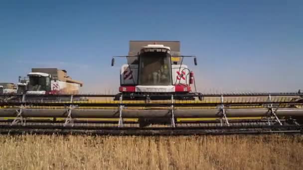 Kombajn. Sklizeň pšenice. — Stock video