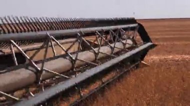 Hasat birleştirin. Buğday hasat.