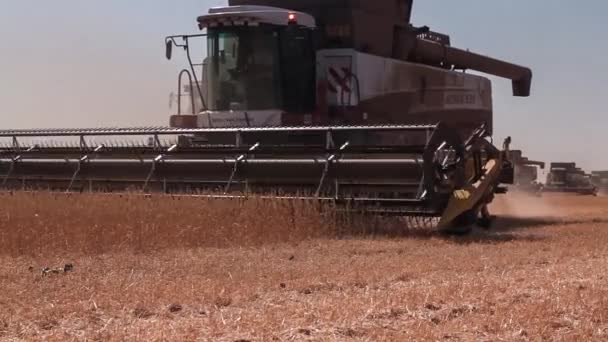Комбайновый комбайн. Урожай пшеницы . — стоковое видео