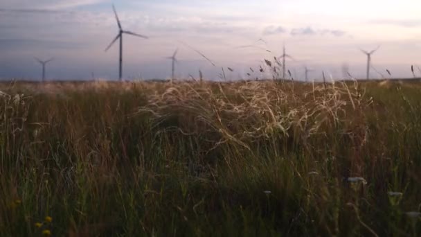 Motion the blades of a large wind turbine in a field against a background of orange sunset on the horizon with a beautiful hills. Alternative energy sources. Windy park. Ecological energy.Industrial — Stock Video