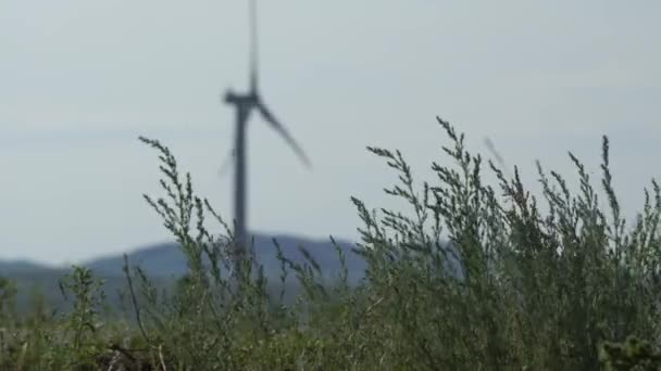 Ruch ostrza dużej turbiny wiatrowej na polu na tle zachmurzonego niebieskiego nieba z kołyszącą się trawą piórkową na wietrze. Alternatywne źródła energii. Park wiatrów. Energia ekologiczna. — Wideo stockowe