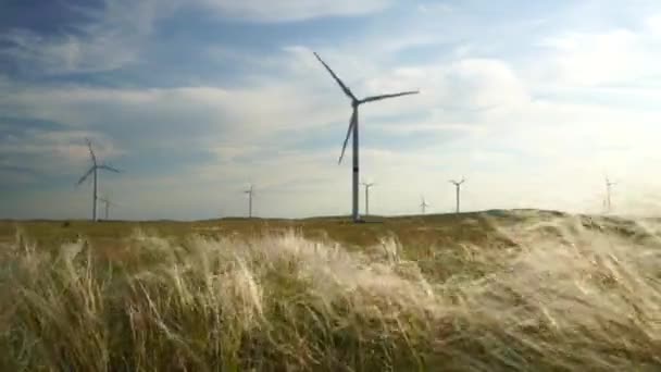 Ruch ostrza dużej turbiny wiatrowej na polu na tle zachmurzonego niebieskiego nieba z kołyszącą się trawą piórkową na wietrze. Alternatywne źródła energii. Park wiatrów. Energia ekologiczna. — Wideo stockowe