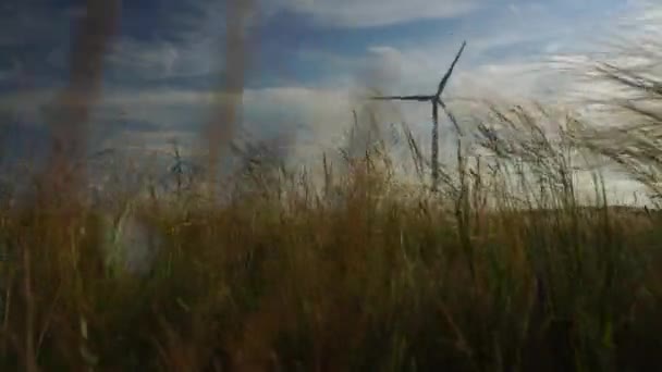 Mueva las palas de un gran aerogenerador en un campo sobre un fondo de cielo azul nublado con hierba de plumas balanceándose en el viento. Fuentes de energía alternativas. Parque de viento. Energía ecológica. — Vídeos de Stock