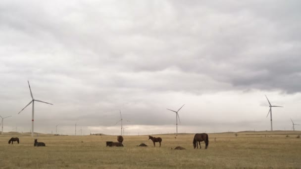 Turbina eólica em um campo contra um fundo de céu cinza nublado no horizonte com belas colinas e cavalos de pastagem. Fontes de energia alternativas. Parque ventoso. Energia ecológica.Industrial — Vídeo de Stock