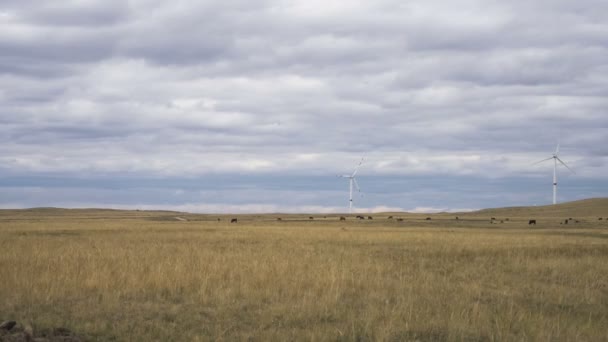 Ruch łopat dużej turbiny wiatrowej na polu na tle zachmurzonego, szarego nieba na horyzoncie z pięknymi wzgórzami. Alternatywne źródła energii. Park wiatrów. Energia ekologiczna.Przemysł — Wideo stockowe
