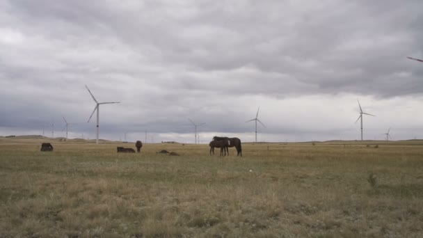 Turbina de viento en un campo sobre un fondo de cielo gris nublado en el horizonte con unas hermosas colinas y caballos pastando. Fuentes de energía alternativas. Parque de viento. Energía ecológica.Industrial — Vídeo de stock