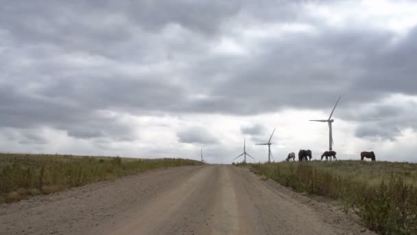 Motion the blades of a large wind turbine in a field against a background of cloudy blue sky near the field road. Alternative energy sources. Windy park. Ecological energy. — Stock Video